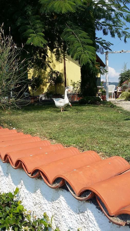 Villa Anna Torria Exterior foto